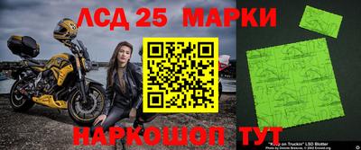 твердый Новозыбков