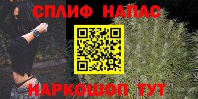 амф Новокубанск