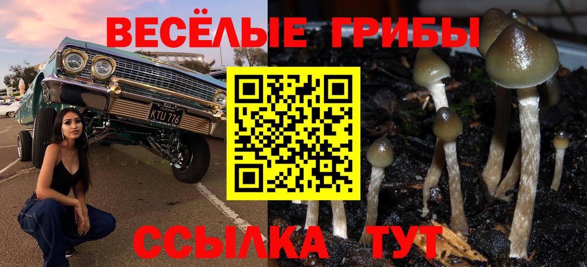 наркошоп  Псилоцибиновые грибы GOLDEN TEACHER  Вход с VPN  Тихвин 